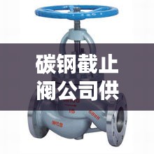 碳鋼截止閥公司供應(yīng)排名榜單揭曉！