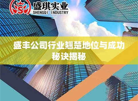 盛豐公司行業(yè)翹楚地位與成功秘訣揭秘