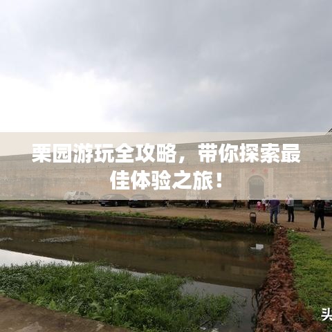 栗園游玩全攻略，帶你探索最佳體驗之旅！