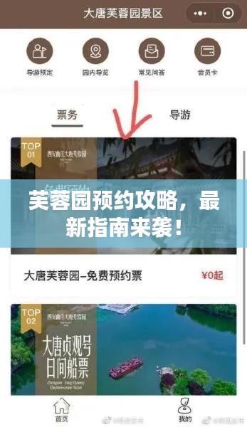 芙蓉園預(yù)約攻略，最新指南來襲！