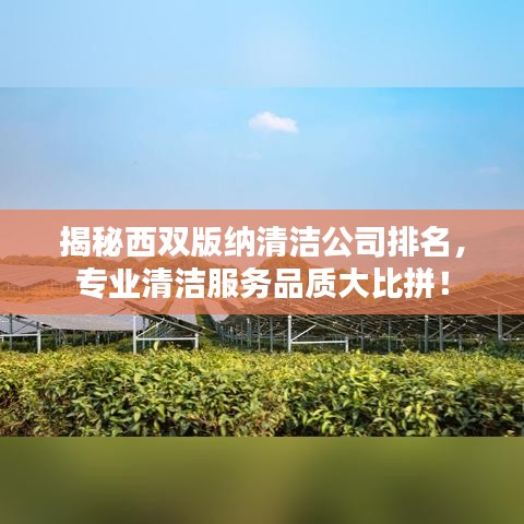 揭秘西雙版納清潔公司排名，專業(yè)清潔服務(wù)品質(zhì)大比拼！