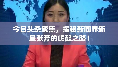 今日頭條聚焦，揭秘新聞界新星張芳的崛起之路！