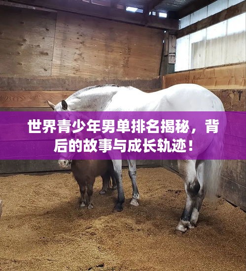 世界青少年男單排名揭秘，背后的故事與成長軌跡！