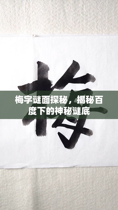 梅字謎面探秘，揭秘百度下的神秘謎底