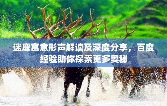 迷麋寓意形聲解讀及深度分享，百度經驗助你探索更多奧秘