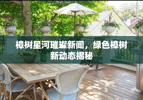 樟樹星河璀璨新聞，綠色樟樹新動態(tài)揭秘