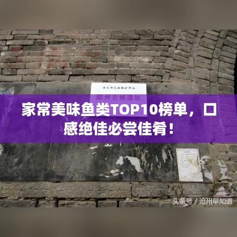 家常美味魚類TOP10榜單，口感絕佳必嘗佳肴！