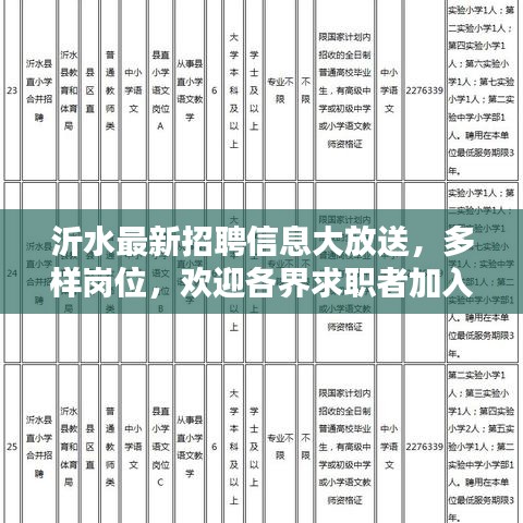 沂水最新招聘信息大放送，多樣崗位，歡迎各界求職者加入，年齡至55歲