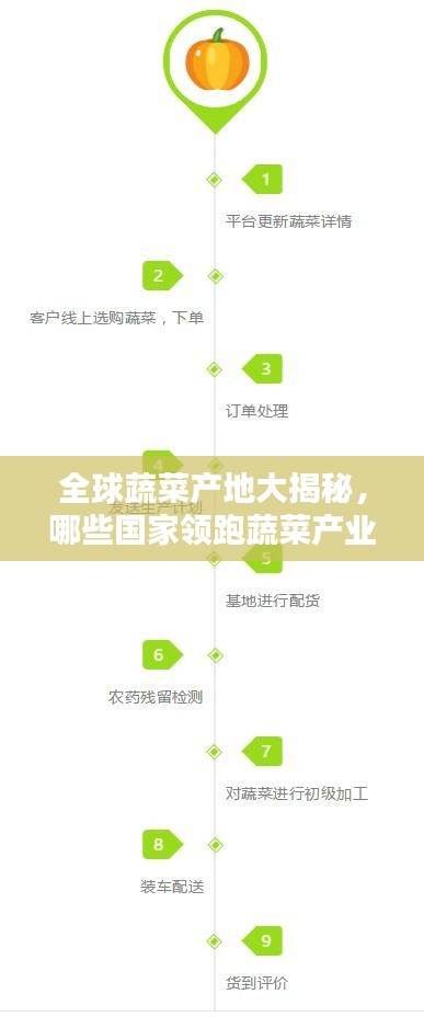 全球蔬菜產(chǎn)地大揭秘，哪些國家領(lǐng)跑蔬菜產(chǎn)業(yè)榜單？