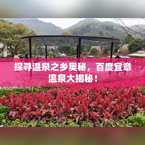 探尋溫泉之鄉(xiāng)奧秘，百度宜章溫泉大揭秘！