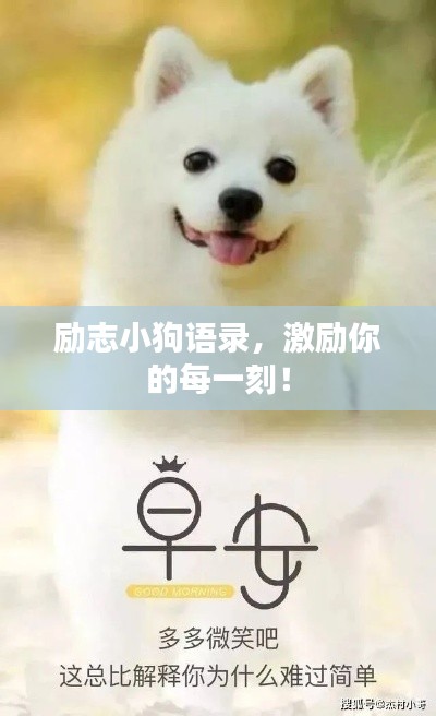 勵(lì)志小狗語(yǔ)錄，激勵(lì)你的每一刻！