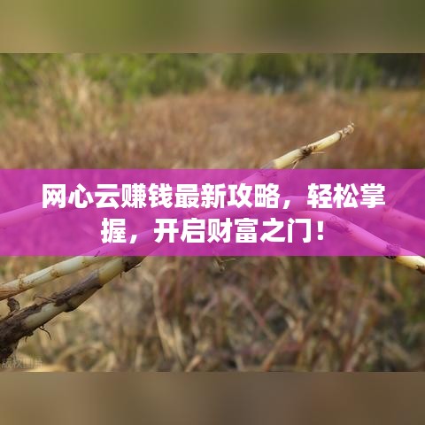 網(wǎng)心云賺錢最新攻略，輕松掌握，開(kāi)啟財(cái)富之門！