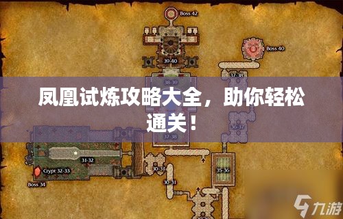 鳳凰試煉攻略大全，助你輕松通關(guān)！