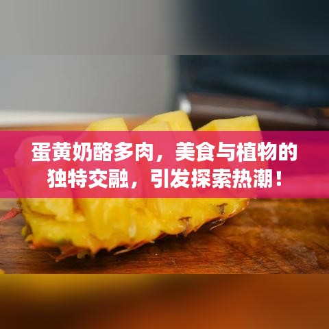 蛋黃奶酪多肉，美食與植物的獨(dú)特交融，引發(fā)探索熱潮！