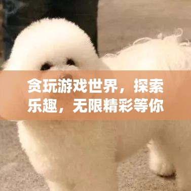 貪玩游戲世界，探索樂趣，無限精彩等你發(fā)現！