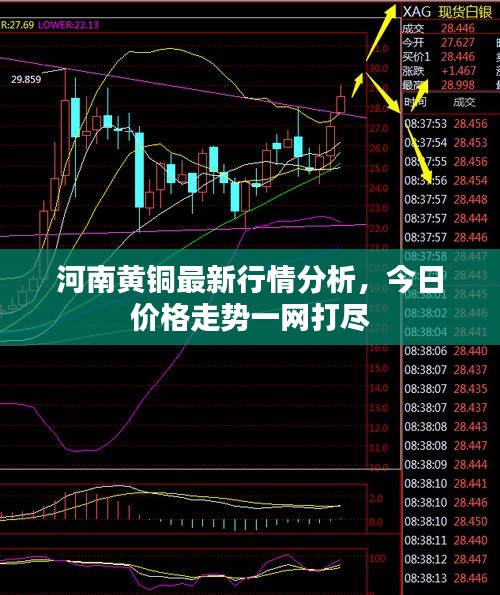 河南黃銅最新行情分析，今日價(jià)格走勢(shì)一網(wǎng)打盡