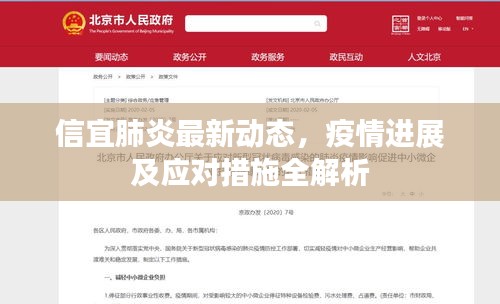信宜肺炎最新動態(tài)，疫情進(jìn)展及應(yīng)對措施全解析