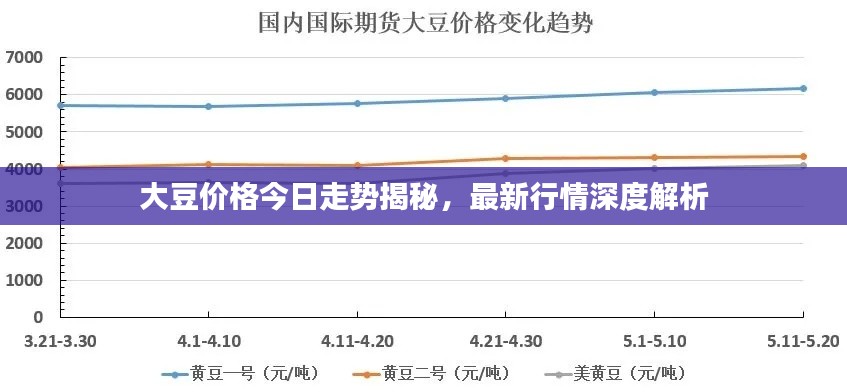 大豆價格今日走勢揭秘，最新行情深度解析