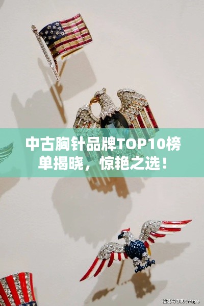 中古胸針品牌TOP10榜單揭曉，驚艷之選！
