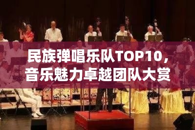 民族彈唱樂隊(duì)TOP10，音樂魅力卓越團(tuán)隊(duì)大賞