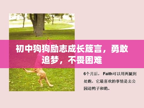 初中狗狗勵(lì)志成長(zhǎng)箴言，勇敢追夢(mèng)，不畏困難