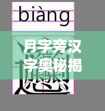 月字旁漢字奧秘揭秘，漢字世界里的神秘之旅