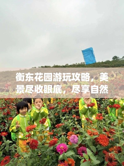 衡東花園游玩攻略，美景盡收眼底，盡享自然之旅！