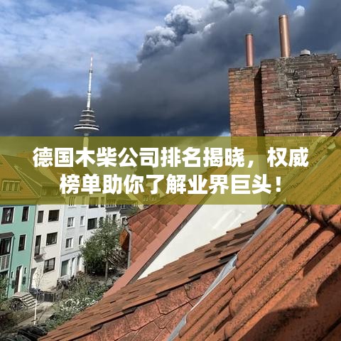 德國(guó)木柴公司排名揭曉，權(quán)威榜單助你了解業(yè)界巨頭！