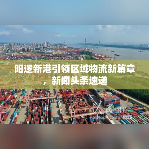 陽邏新港引領(lǐng)區(qū)域物流新篇章，新聞頭條速遞