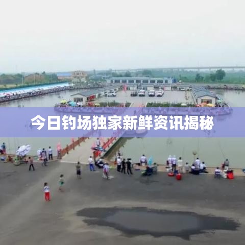 今日釣場獨(dú)家新鮮資訊揭秘