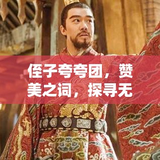 侄子夸夸團(tuán)，贊美之詞，探尋無盡光輝的魅力
