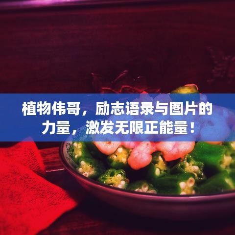 植物偉哥，勵(lì)志語(yǔ)錄與圖片的力量，激發(fā)無(wú)限正能量！