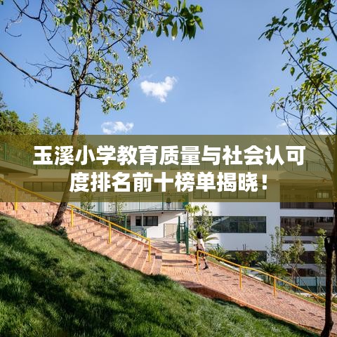 玉溪小學(xué)教育質(zhì)量與社會(huì)認(rèn)可度排名前十榜單揭曉！