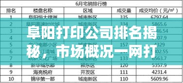 阜陽(yáng)打印公司排名揭秘，市場(chǎng)概況一網(wǎng)打盡