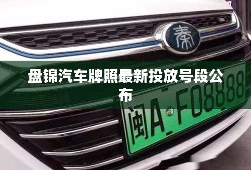 張皇鋪飾 第2頁