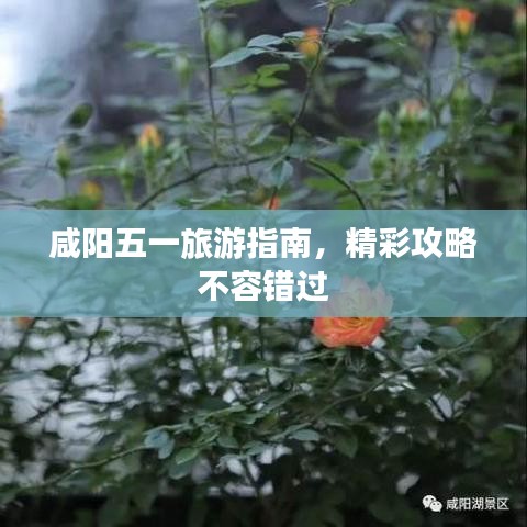 咸陽五一旅游指南，精彩攻略不容錯過