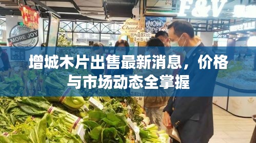 增城木片出售最新消息，價格與市場動態(tài)全掌握