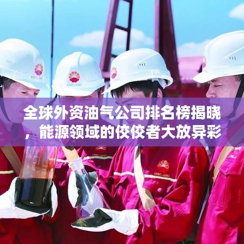 全球外資油氣公司排名榜揭曉，能源領(lǐng)域的佼佼者大放異彩！