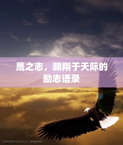 鷹之志，翱翔于天際的勵(lì)志語錄