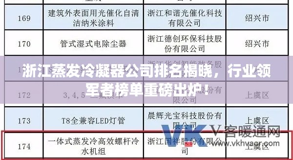 浙江蒸發(fā)冷凝器公司排名揭曉，行業(yè)領(lǐng)軍者榜單重磅出爐！
