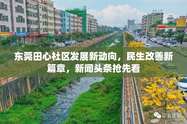東莞田心社區(qū)發(fā)展新動(dòng)向，民生改善新篇章，新聞?lì)^條搶先看