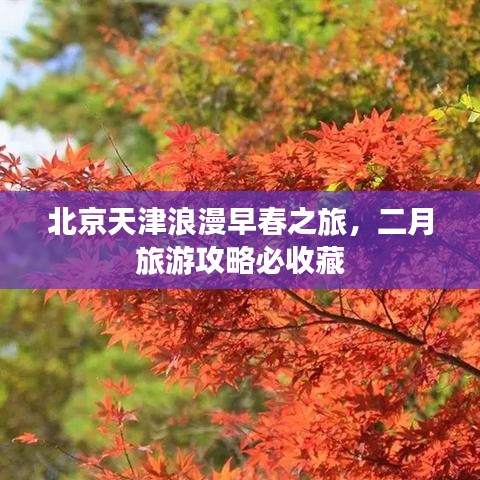 北京天津浪漫早春之旅，二月旅游攻略必收藏