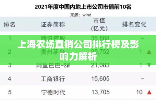 上海農(nóng)場(chǎng)直銷公司排行榜及影響力解析