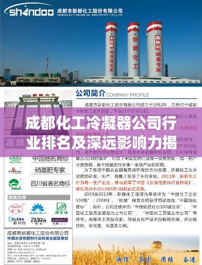 成都化工冷凝器公司行業(yè)排名及深遠影響力揭秘