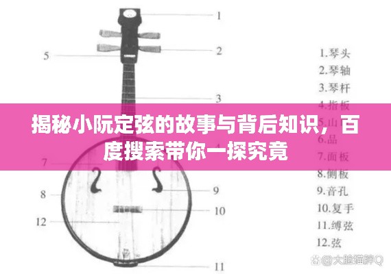 揭秘小阮定弦的故事與背后知識，百度搜索帶你一探究竟