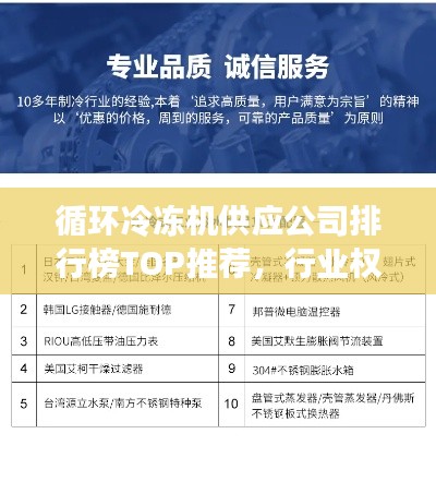 循環(huán)冷凍機(jī)供應(yīng)公司排行榜TOP推薦，行業(yè)權(quán)威指南！