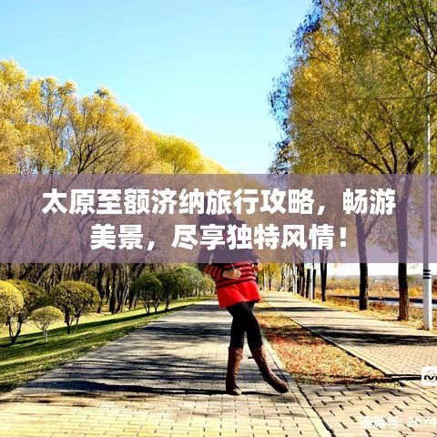 太原至額濟(jì)納旅行攻略，暢游美景，盡享獨(dú)特風(fēng)情！