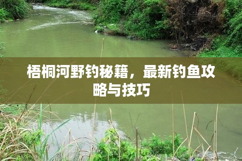 梧桐河野釣秘籍，最新釣魚攻略與技巧