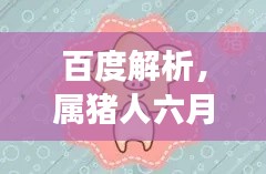 百度解析，屬豬人六月運(yùn)勢全面解讀
