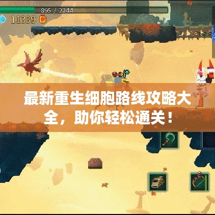 最新重生細(xì)胞路線攻略大全，助你輕松通關(guān)！